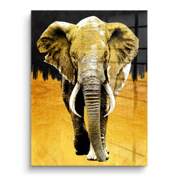 Elefante negro y dorado - cuadro PVC brillante