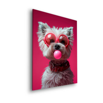 Guma balonowa biały Terrier - obraz na dibondzie matowym
