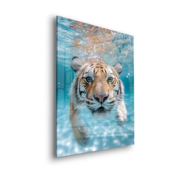 Tigre blanco nadando - cuadro en vidrio acrílico