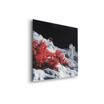 Paysage lunaire coral astronaute - tableau Dibond mat