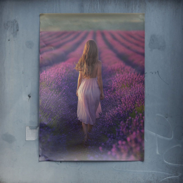 Lavender champ femme - poster
