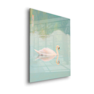 Ruhiger Schwan mit Wasserspiegelung - Acrylglasbild