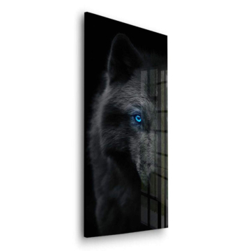 Schwarzer Wolf mit blauem Auge - Acrylglasbild