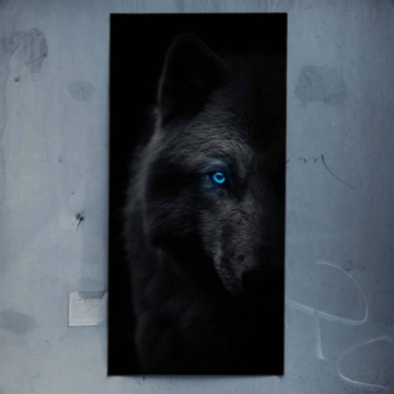 Black Wolf Blue Eye Poster Art