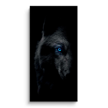 Schwarzer Wolf mit blauem Auge - Leinwandbild