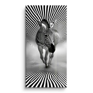Zèbre optical illusion - tableau PVC brillant