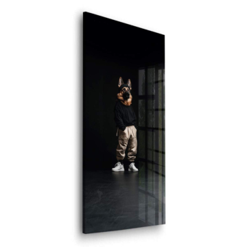Hund im Streetwear-Look im Scheinwerferlicht - Acrylglasbild