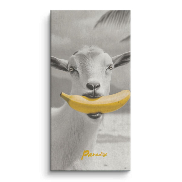 Goat With Banana Canvas Art