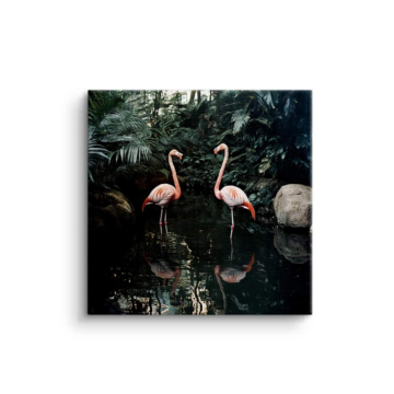 Tropischer Flamingogarten - Leinwandbild