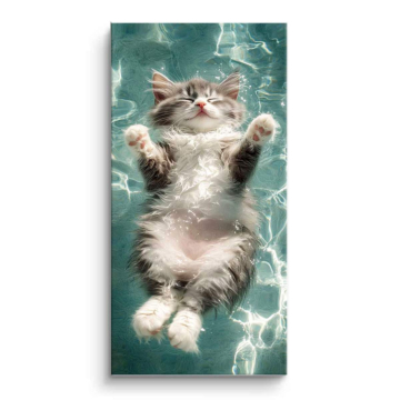 Schwimmendes Kätzchen mit Farbspritzern - PVC-Bild matt