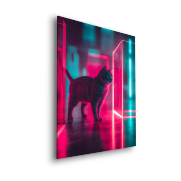Schwarze Katze vor Neontür - Dibond-Bild matt
