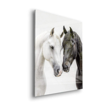 Negro blanco Horses - cuadro en vidrio acrílico