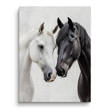 Negro blanco Horses - cuadro en lienzo