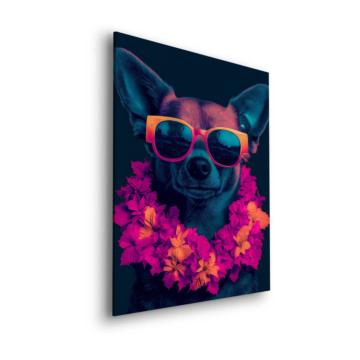 Chihuahua-Party mit Sonnenbrille - Dibond-Bild matt