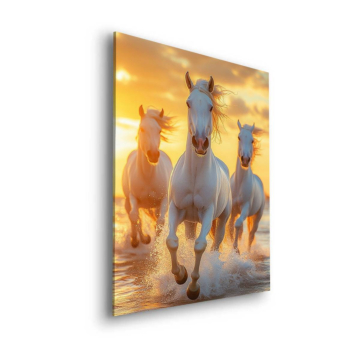 Weiße Pferde im Galopp am Ozean - Dibond-Bild matt