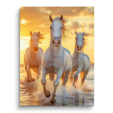 Chevaux blancs galopant au bord de l’océan - tableau PVC brillant