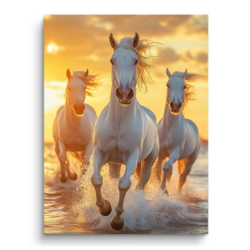 Weiße Pferde im Galopp am Ozean - PVC-Bild matt