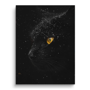 Schwarze Katze mit Galaxie-Augen - PVC-Bild matt