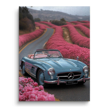 Mercedes Roadster Blossom Drive Canvas Art