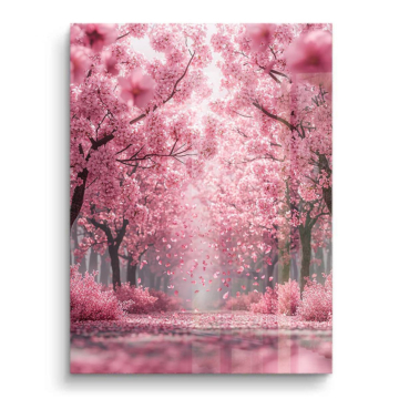 Pinker Kirschblütenpfad - PVC-Bild glänzend