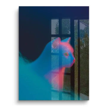 Silueta neón gato - cuadro PVC brillante