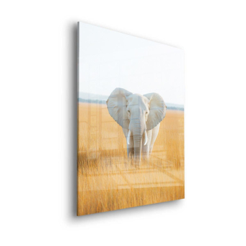 White Elephant Grassland Acrylic Glass Art