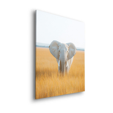 Éléphant blanc grassland - tableau Dibond mat