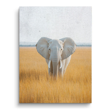 Éléphant blanc grassland - tableau sur toile