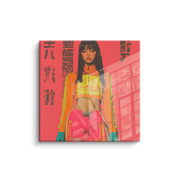 Anime Inspired Urban Girl PVC Gloss Art