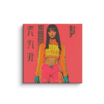 Anime Inspired Urban Girl PVC Matt Art