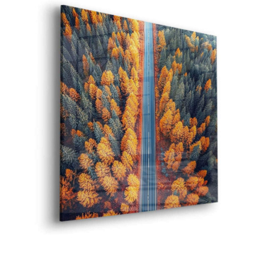 Straße im Herbstwald - Acrylglasbild