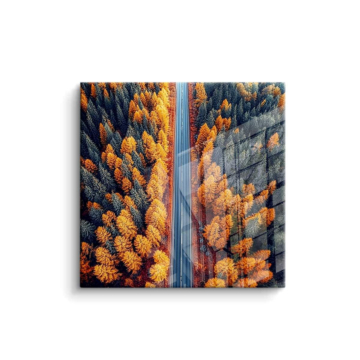 Autumn Forest Road PVC Gloss Art
