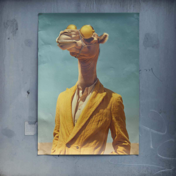 Elegancki portret wielbłąda - plakat