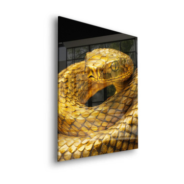 Golden Snake Close Up Acrylic Glass Art