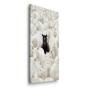 Mouton noir dans un troupeau blanc - tableau Dibond mat