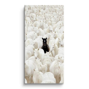 Mouton noir dans un troupeau blanc - tableau PVC mat
