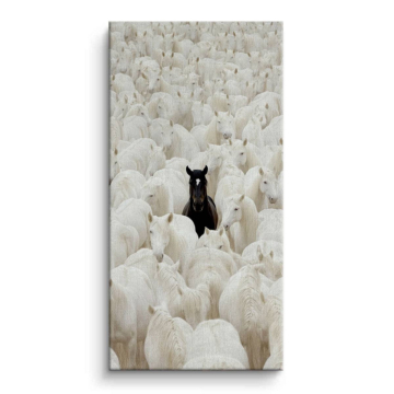 Black Sheep Among White Flock Canvas Art