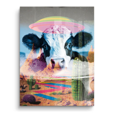 Surréaliste cow désert OVNI - tableau PVC brillant