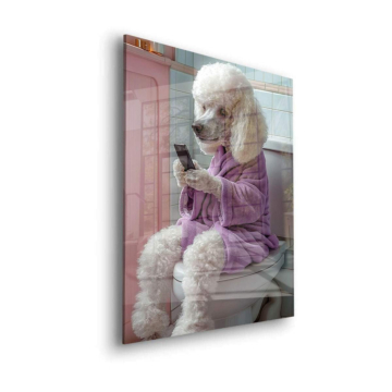 Poodle Badezimmer Phon - Acrylglasbild