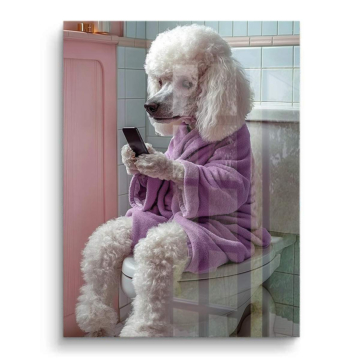 Poodle Badezimmer Phon - PVC-Bild glänzend