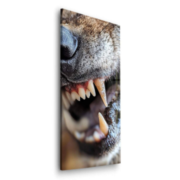 Knurrender Hund in Nahaufnahme - Acrylglasbild
