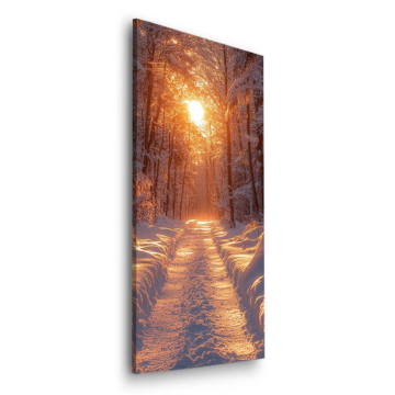 Hiver forêt soleil chemin - tableau Dibond mat