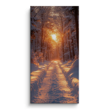 Winter Forest Sun Path Canvas Art